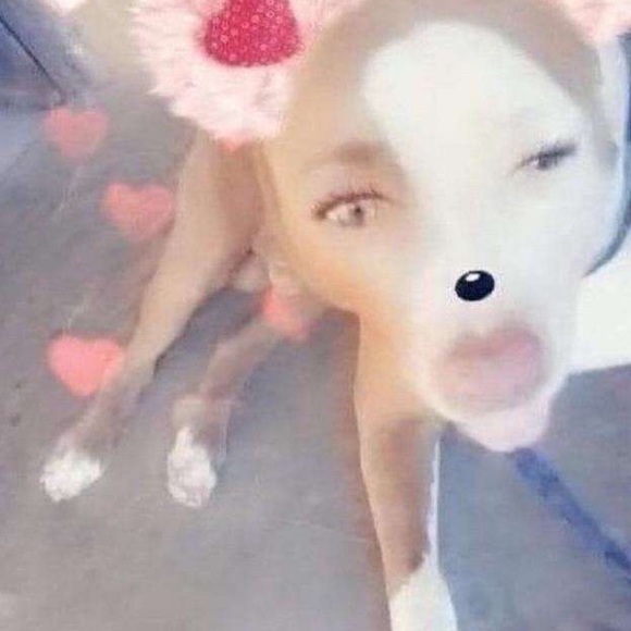 Meet your Posher, Celine - Picture 1 of 1